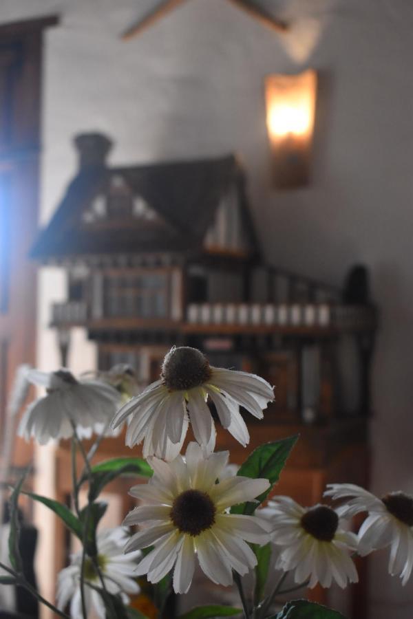 Casa Kisi Cottage, Rural Boutique Bed & Breakfast Colmenar Zewnętrze zdjęcie